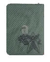 10 (1).webp