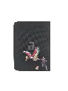 10.webp