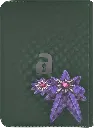 back.webp