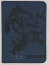 Binder Lucario Megaevolutions
